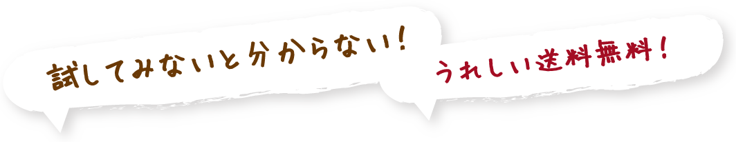 試してみないと分からない！うれしい送料無料